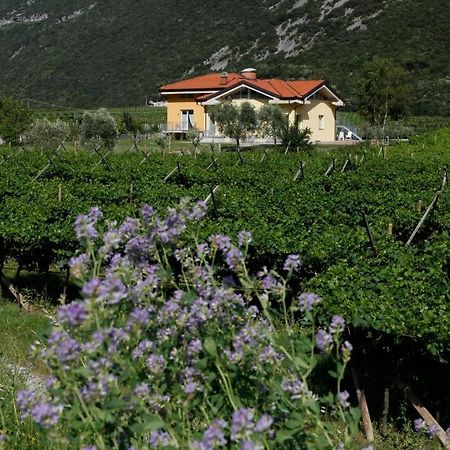 Appartamenti Al Vigneto درو المظهر الخارجي الصورة