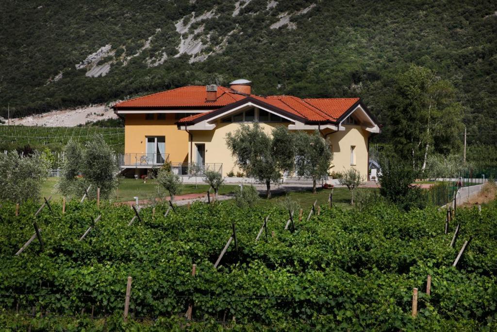 Appartamenti Al Vigneto درو المظهر الخارجي الصورة