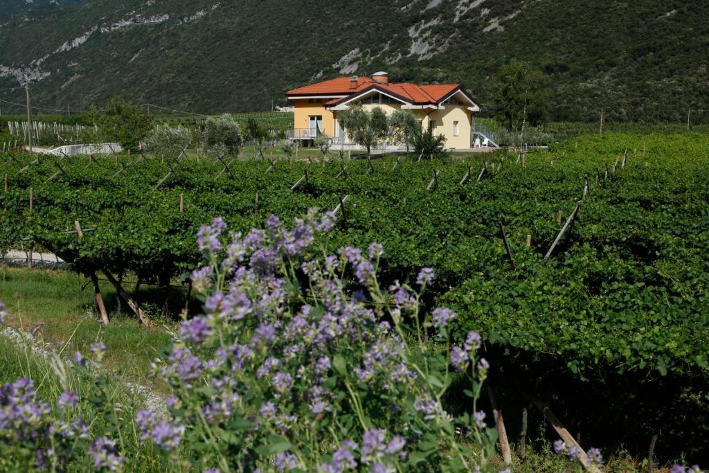 Appartamenti Al Vigneto درو المظهر الخارجي الصورة